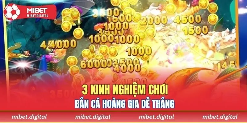 3 kinh nghiệm chơi bắn cá Hoàng Gia dễ thắng