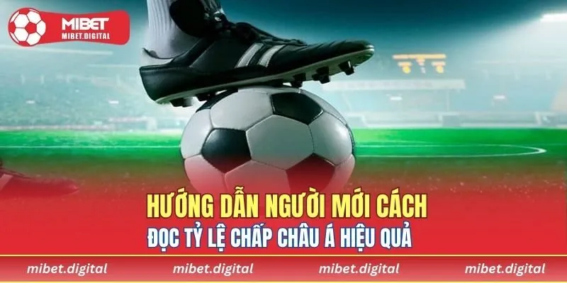 4 hình thức cược phổ biến tại nhà cái