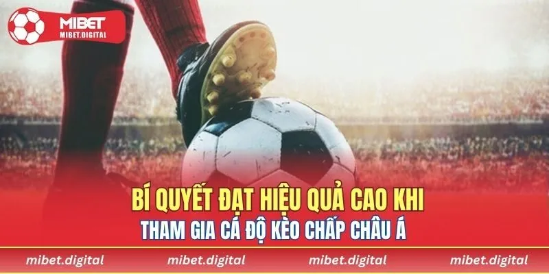 Bật mí kinh nghiệm cược bất bại từ nhà cái