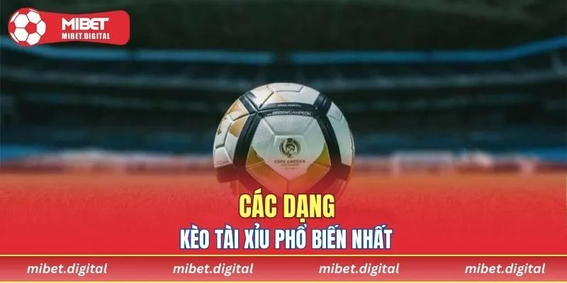 Các dạng kèo phổ biến nhất nhà cái