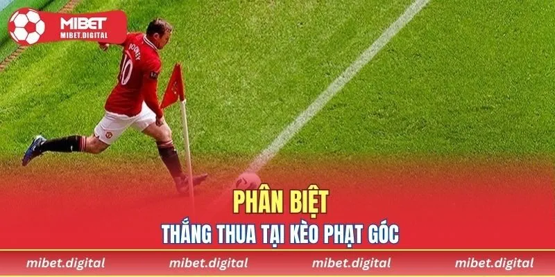 Cách phân biệt thắng hay thua của kèo