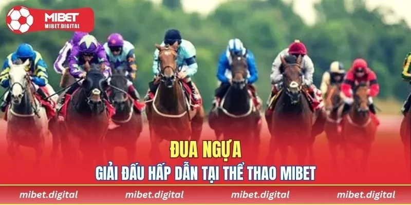 Giải đua ngựa - Game cược hấp dẫn tại thể thao MIBET