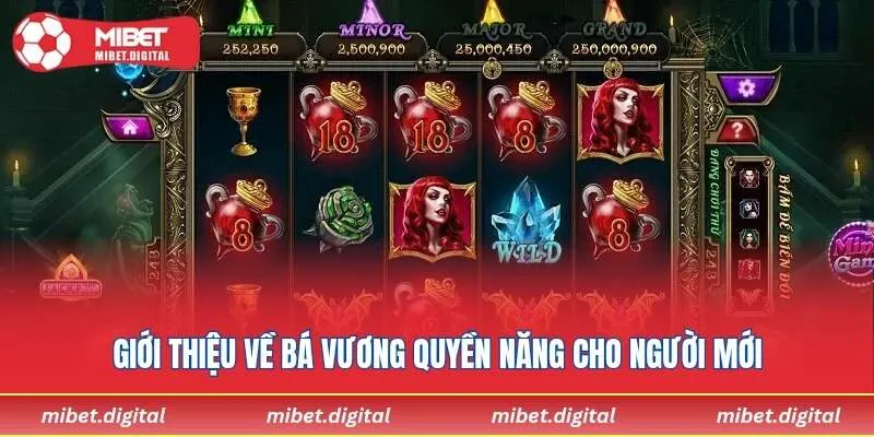 Giới thiệu về Bá Vương Quyền Năng cho người mới