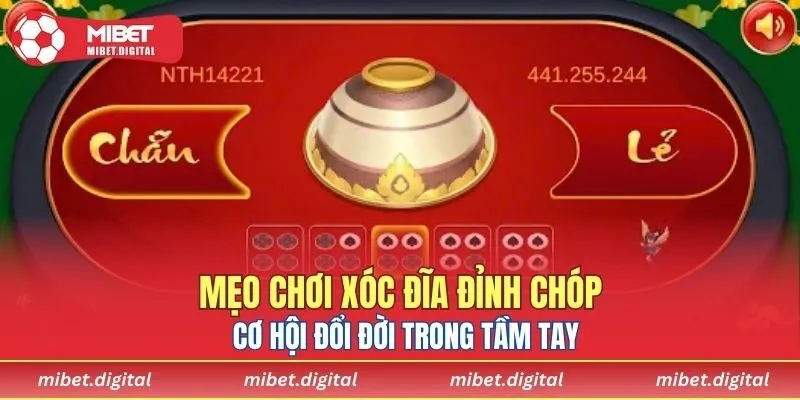 Mẹo Chơi Xóc Đĩa