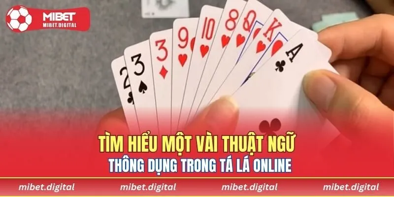 Một số từ ngữ phổ biến trong Tá Lả