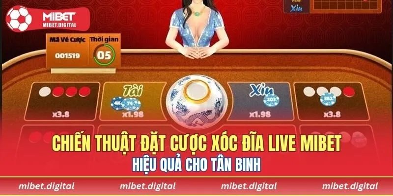 Những yếu tố quyết định 80% nên sự thành bại khi cá cược