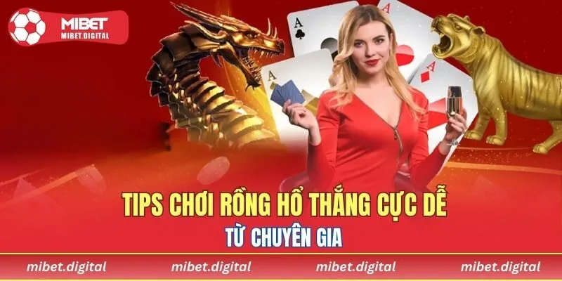 Tips chơi rồng hổ thắng cực dễ từ chuyên gia